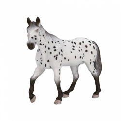 Mojo Appaloosa mén (MJ387108)