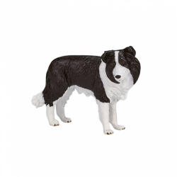 Mojo Border collie (MJ387203)