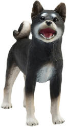 Mojo Shiba Inu kutya fekete (MJ387363)