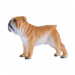 Mojo Angol buldog (MJ381053)
