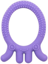 Dr. Brown's Teether FlexeesFriends 3m+ violet (072239318829)