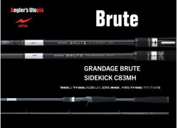 Apia GRANDAGE BRUTE SIDEKICK C83MH CAST 2.51m 10-50gr horgászbot (AP25875)