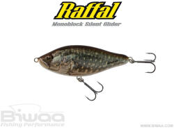 Biwaa RAFFAL GLIDER 4" S 10cm 43gr 40 Pike (B001602)