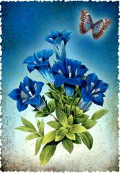 Gespaensterwald Felicitare Gespaensterwald Romantique - Floare (30033048)