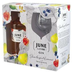 June by G'Vine Wild Peach Gin (DD+Pohár) [0, 7L|37, 5%]