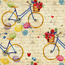  Tapet personalizat Biciclete 183