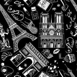 Tapet personalizat Paris 66