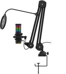 AQIRYS Microfon AQIRYS Galileo shock-mount brat articulat stand iluminare RGB USB (AQRYS-GALILEO)