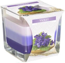 BISPOL Ароматна свещ Bispol Aura - Violet, 170 g (snk80-131)