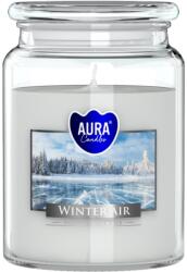 BISPOL Ароматна свещ Bispol Aura - Winter Air, 500 g (snd99-375)