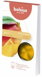 Bolsius Ароматен восък Bolsius True Scents - Манго, 6 броя (TRU-CPS-10)