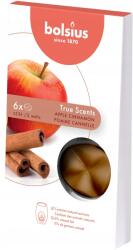 Bolsius Ароматен восък Bolsius True Scents - Ябълка и канела, 6 броя (TRU-CPS-95)