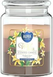BISPOL Ароматна свещ Bispol Aura - Wild Vanilla, 500 g (/snd99t-387)