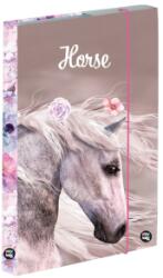 KARTON P+P Cutie pentru caiete A4 Jumbo horse romantic