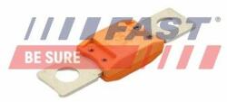 FAST siguranta fuzibila FAST FT83403 (FT83403) - automobilus