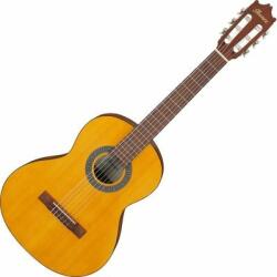 Ibanez GA2-OAM