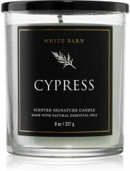 Bath & Body Works Cypress illatgyertya 227 g