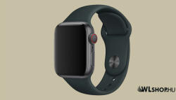 FeiFan Szilikon óraszíj Apple Watch órához 38/40/41 mm FeiFan - Sötét szürke (IWSZ324)