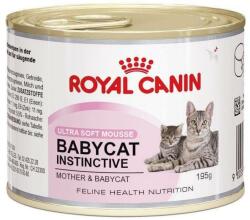 Royal Canin Babycat Mousse - 12×195 g