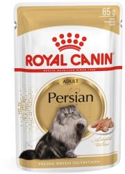 Royal Canin Persian Persian Adult Sauce - 12×85 g