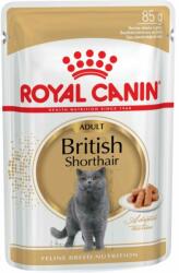 Royal Canin Shorthair Adult Sauce - 12×85 g