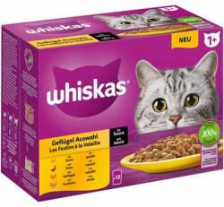 Whiskas 1+ frissentartó tasakban 12 x 85 g Szárnyasválogatás szószban