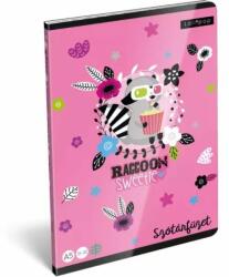 Lizzy Card Raccoon: Caiet vovabular A5 (17673)