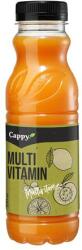 Cappy Gyümölcslé, 52%, 0, 33 l, CAPPY multivitamin (KHI076V) - webpapir