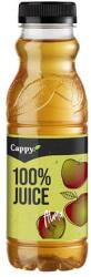 Cappy Gyümölcslé, 100%, 0, 33 l, CAPPY alma (KHI031V) - webpapir