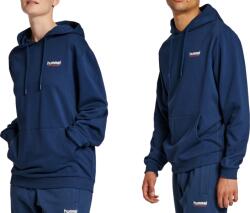 Hummel Hanorac cu gluga Hummel LGC AUSTIN HOODIE 215604-7459 Marime S