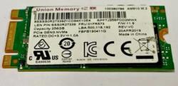 Union Memory 256GB M.2 AM611