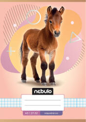 Nebulo Nebulo: Paci mintás kockás füzet A/5 27-32 (NR-AM-A5-12347094) - jatekshop