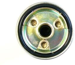 MOTAQUIP filtru combustibil MOTAQUIP VFF387 (VFF387) - automobilus