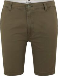 Levi's Pantaloni eleganți 'XX Chino Taper Short II' verde, Mărimea 36