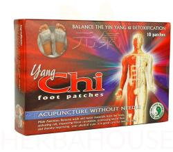 Dr. Chen Patika Yang Chi plasture de detoxifiere (10buc)
