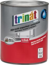 Trilak Trinát Aqua magasfényű zománcfesték 1 l - Akvárium