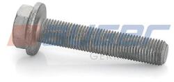 AUGER Surub, disc frana AUGER 77251 (77251) - automobilus