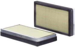 FLEETGUARD Filtru, aer habitaclu FLEETGUARD AF55824 (AF55824)