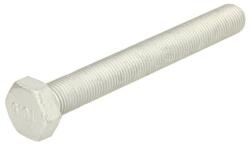 S-TR Surub S-TR 15566 - automobilus