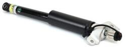 Arnott amortizor Arnott SK-3433 (SK-3433) - automobilus