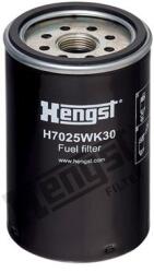 Hengst Filter filtru combustibil HENGST FILTER H7025WK30 (H7025WK30) - automobilus