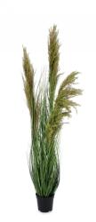 Bizzotto Pampas artificial in ghiveci verde maro 50x96.5 cm (0172902)