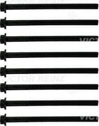 Victor Reinz Set surub, chiulasa VICTOR REINZ 14-10876-02 (14-10876-02)