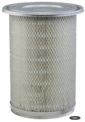 DONALDSON Filtru aer DONALDSON P636773 (P636773)