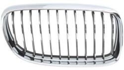 BLIC Grila radiator BLIC BM0262013 - automobilus