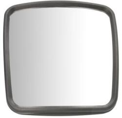 PACOL Oglinda exterioara PACOL S039 112 - automobilus