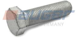 AUGER Surub AUGER 70529 (70529)