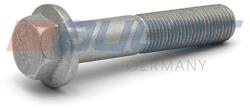 AUGER Surub AUGER 51527 (51527)