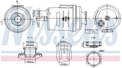 NISSENS Vas de expansiune, racire NISSENS 996314 - automobilus