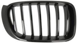 BLIC Grila radiator BLIC BM8072003 - automobilus